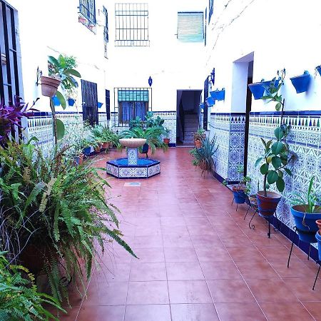 La Casa Del Patio En Pleno San Lorenzo 코르도바 외부 사진