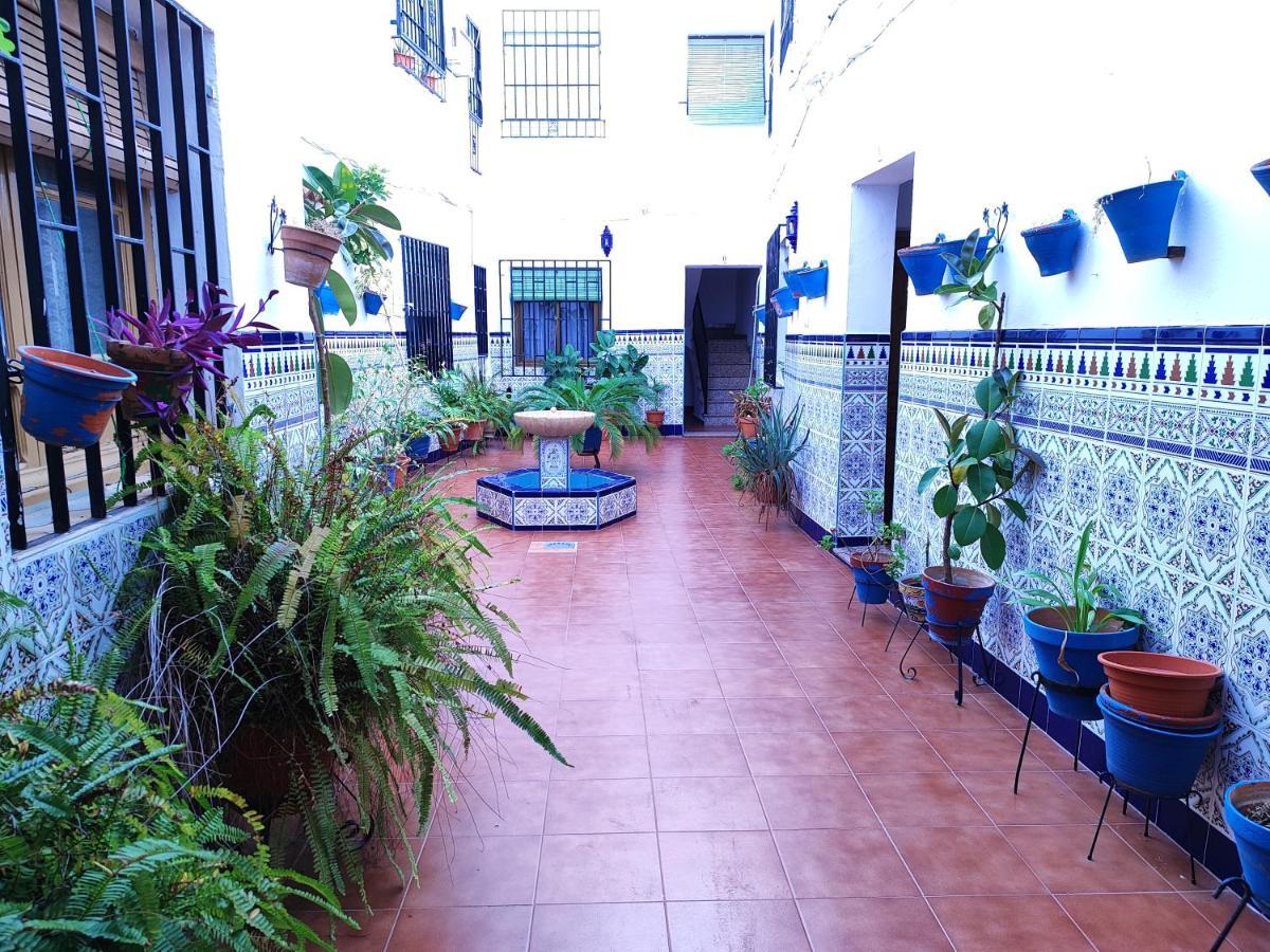 La Casa Del Patio En Pleno San Lorenzo 코르도바 외부 사진